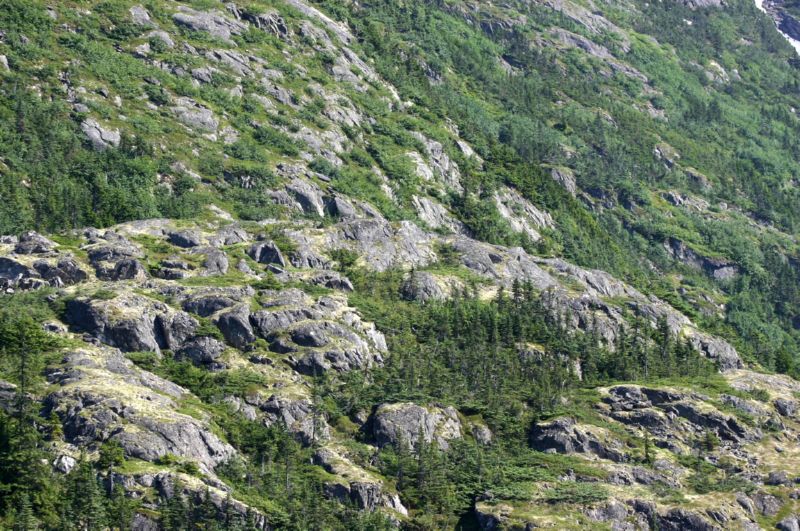 062204 Skagway (10061)